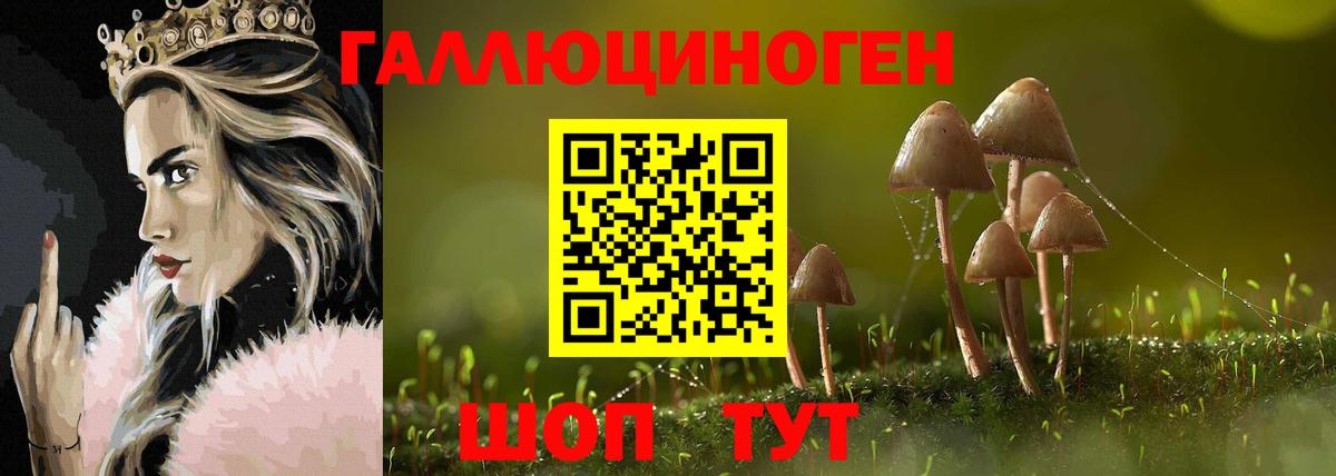 Галлюциногенные грибы GOLDEN TEACHER Уфа